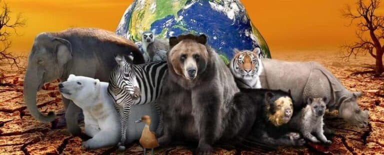 cientificos-advierten-sobre-la-sexta-extincion-masiva