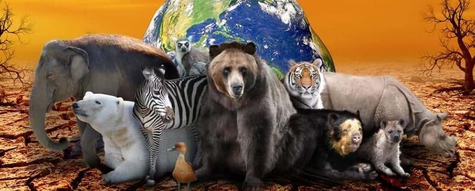 cientificos-advierten-sobre-la-sexta-extincion-masiva