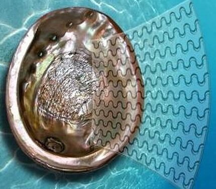 cientificos-crean-un-vidrio-que-se-dobla-pero-no-se-rompe