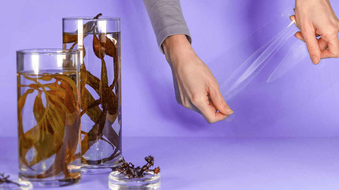 cientificos-desarrollan-plastico-biodegradable-a-partir-de-algas