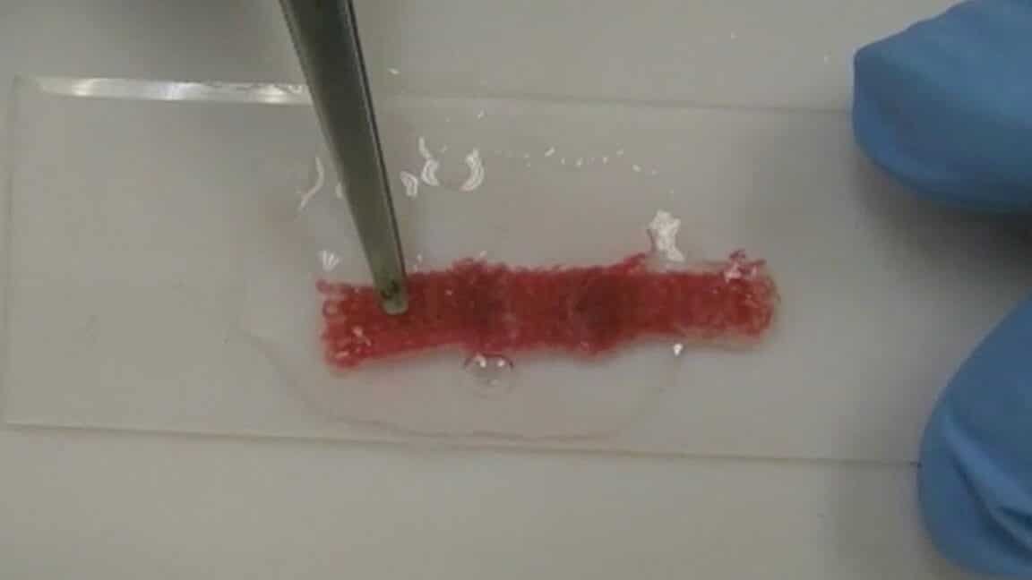 cientificos-desarrollan-ropa-que-se-repara-sola-y-dura-mas