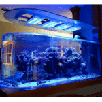 cientificos-desarrollan-un-super-blanco-para-enfriar-edificios