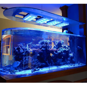 cientificos-desarrollan-un-super-blanco-para-enfriar-edificios