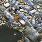 cientificos-descubren-bacterias-que-comen-plastico-en-vertederos