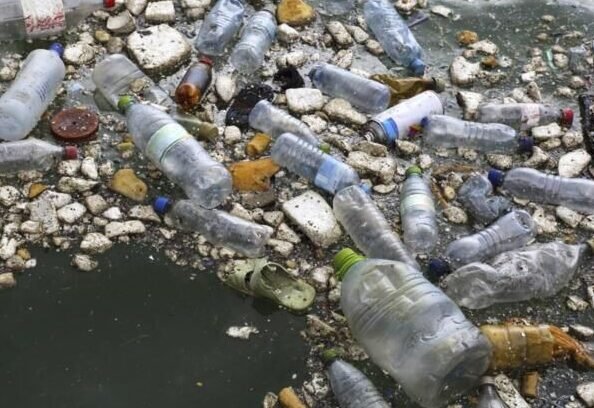 cientificos-descubren-bacterias-que-comen-plastico-en-vertederos