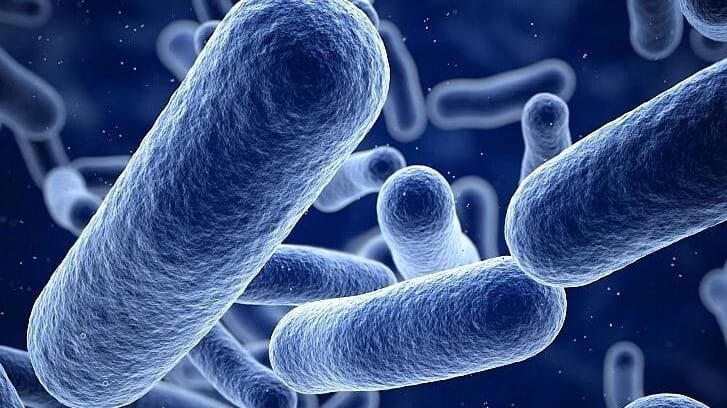 cientificos-descubren-microbios-que-comen-petroleo-en-el-mar