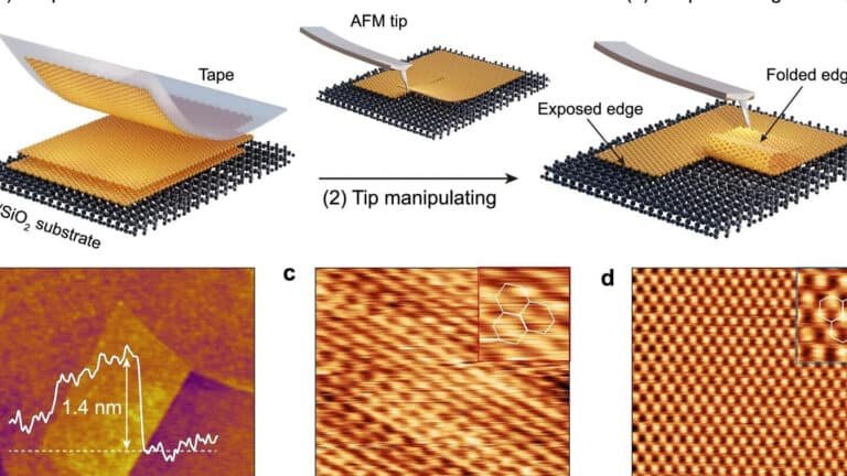 cientificos-observan-la-friccion-cuantica-por-primera-vez
