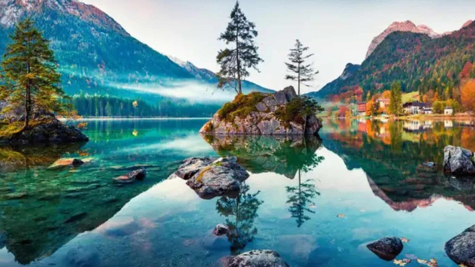 cientificos-proponen-dar-derechos-legales-a-la-naturaleza