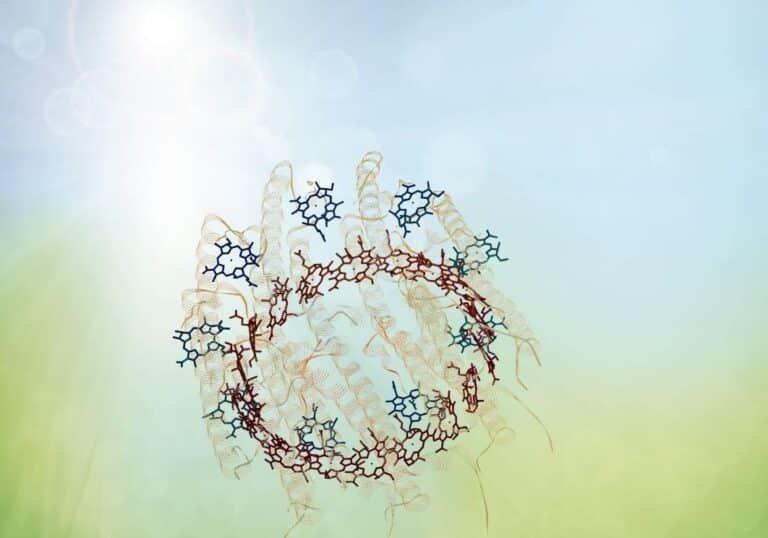 como-la-fisica-cuantica-explica-el-sentido-del-olfato-y-la-fotosintesis