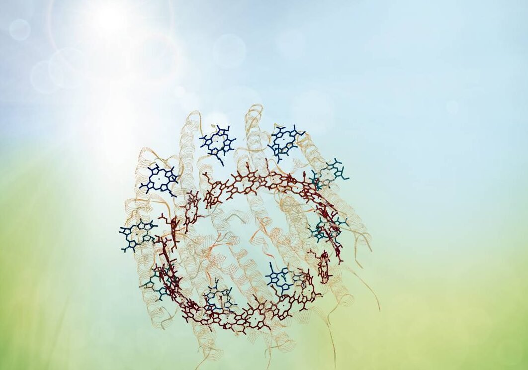 como-la-fisica-cuantica-explica-el-sentido-del-olfato-y-la-fotosintesis