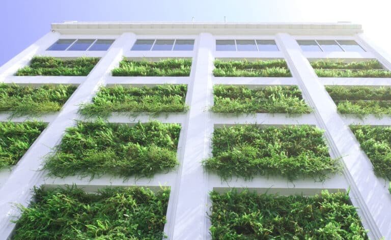 el-auge-de-los-biomateriales-en-la-construccion-sostenible