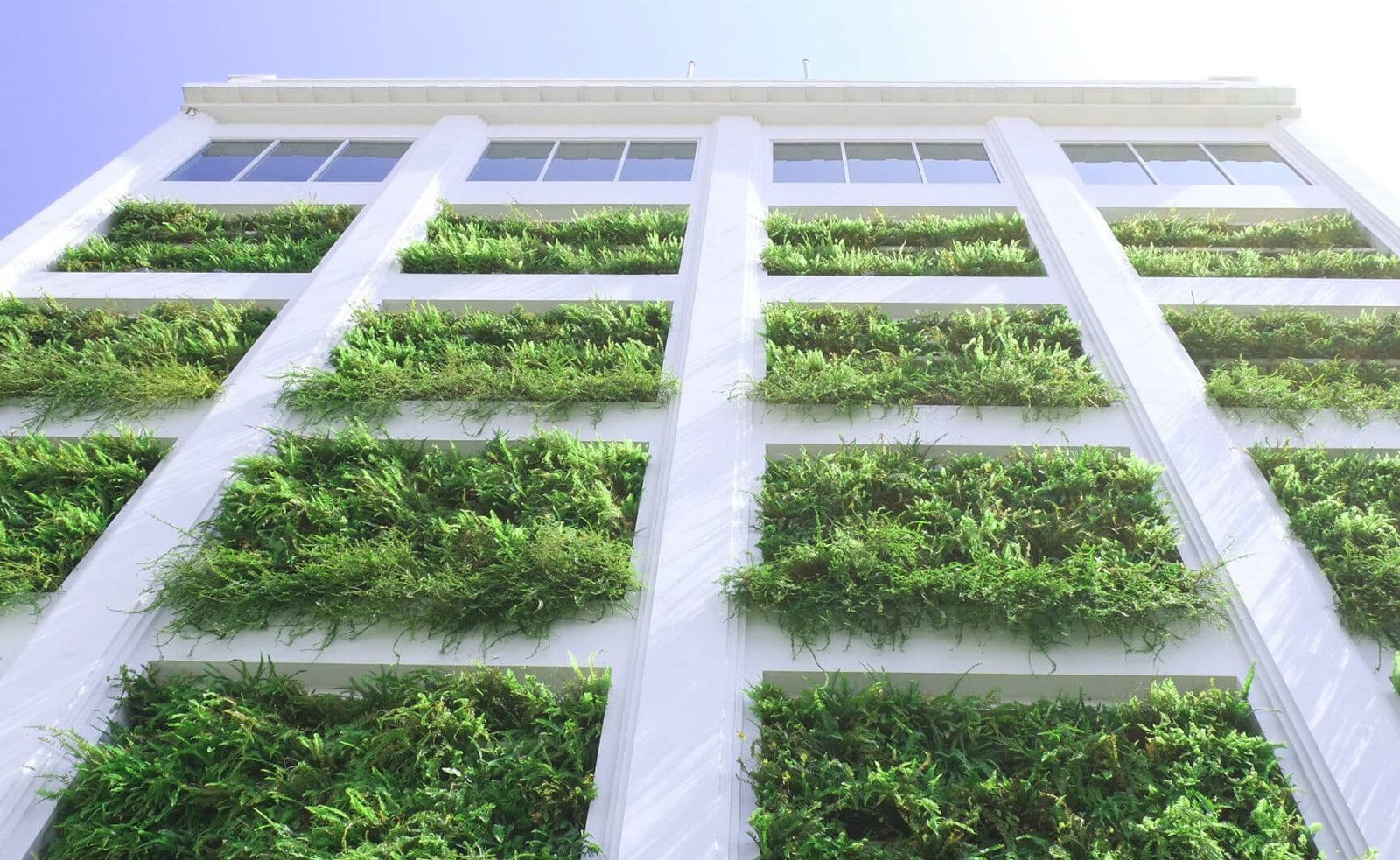 el-auge-de-los-biomateriales-en-la-construccion-sostenible