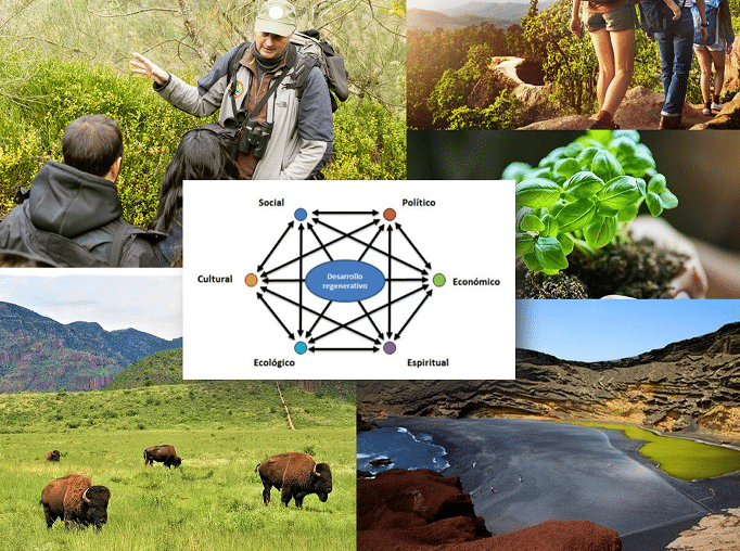 el-auge-del-turismo-regenerativo