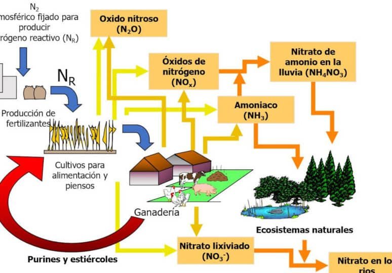 el-impacto-de-la-contaminacion-por-nitrogeno-en-la-biodiversidad