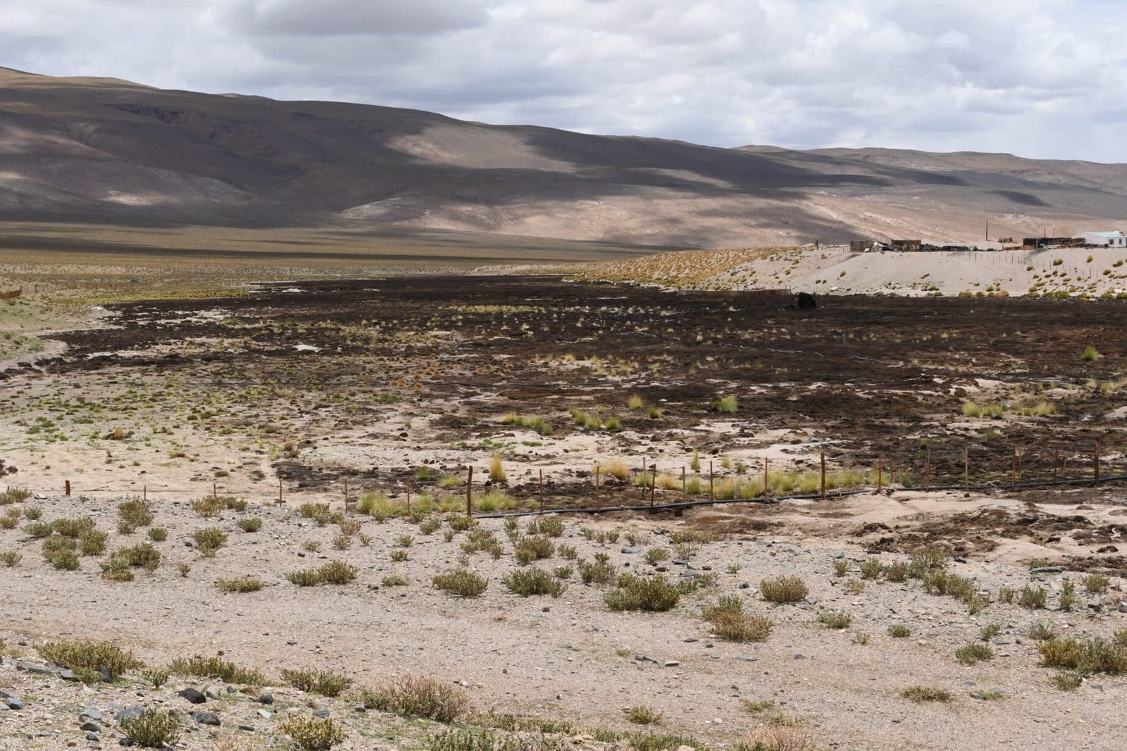 el-impacto-de-la-mineria-de-litio-en-los-ecosistemas-locales