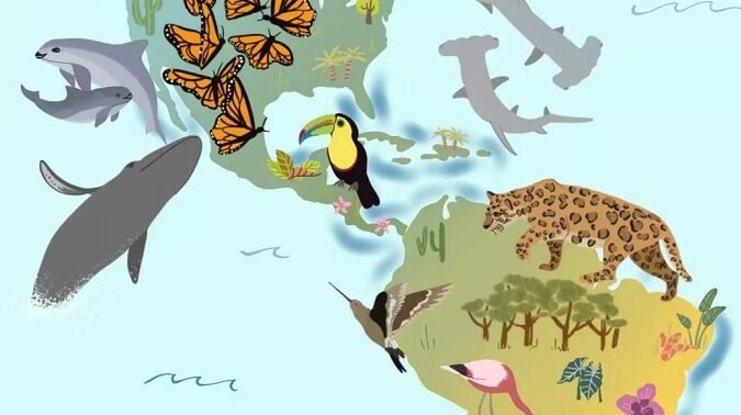 el-impacto-de-las-especies-exoticas-en-la-economia-global