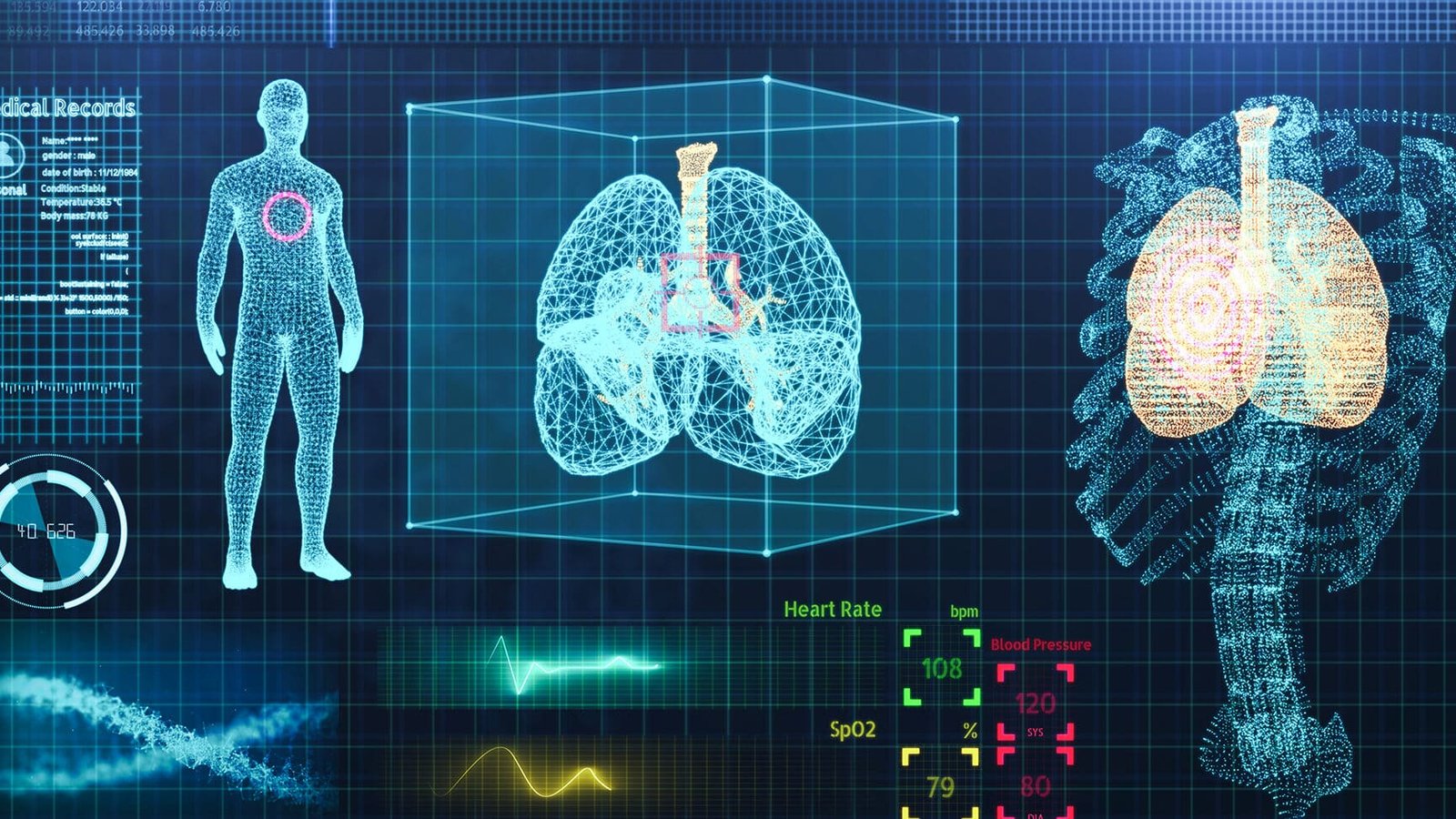 investigadores-crean-un-mapa-detallado-de-todas-las-celulas-del-cuerpo-humano