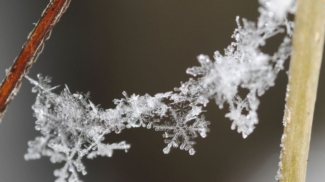 la-fisica-de-la-formacion-de-copos-de-nieve-y-sus-patrones