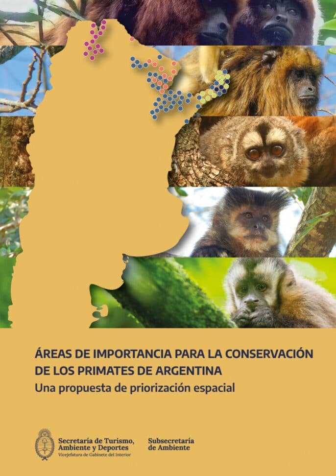 la-importancia-de-la-conservacion-de-los-primates