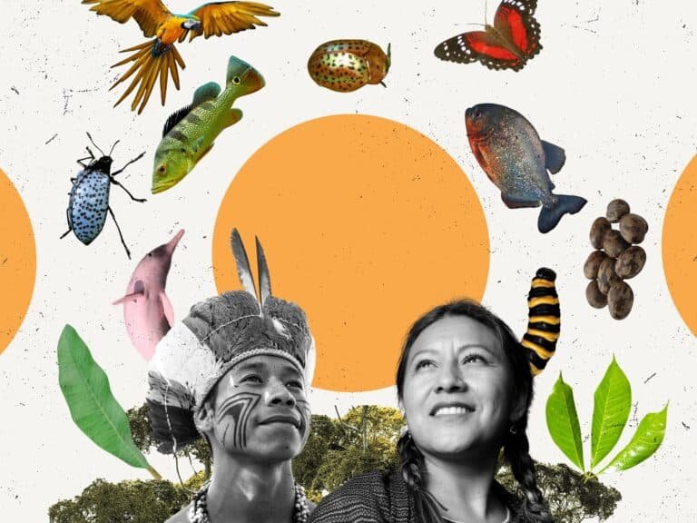 la-importancia-de-los-conocimientos-indigenas-en-la-conservacion