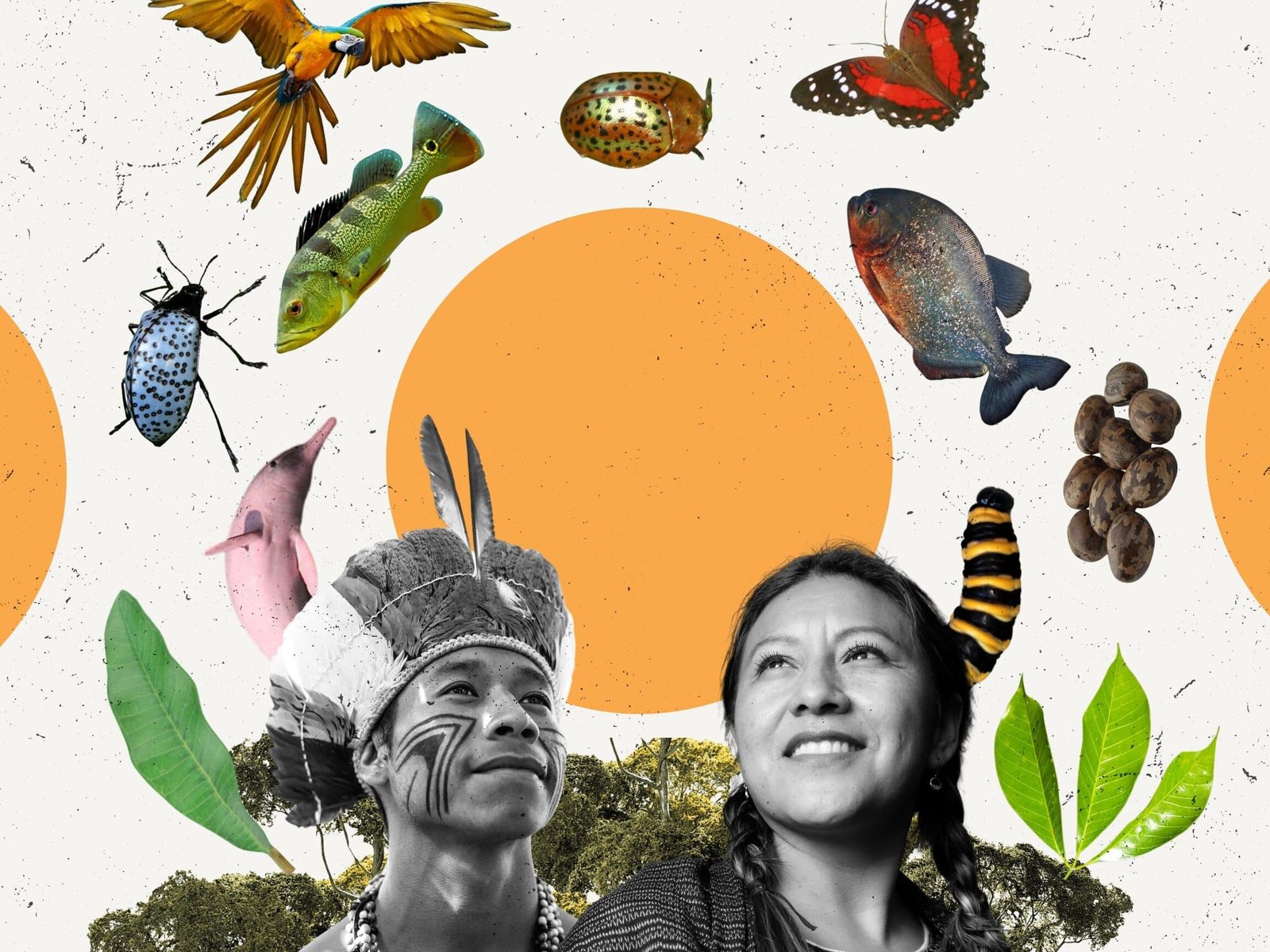 la-importancia-de-los-conocimientos-indigenas-en-la-conservacion