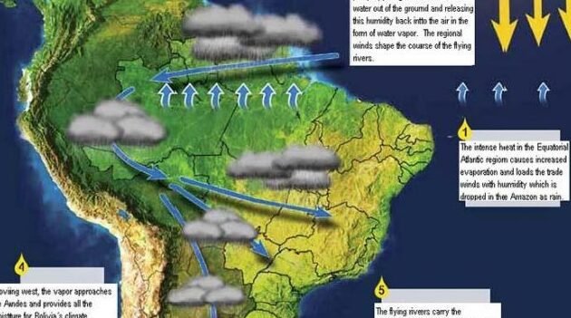 la-importancia-de-los-rios-voladores-del-amazonas