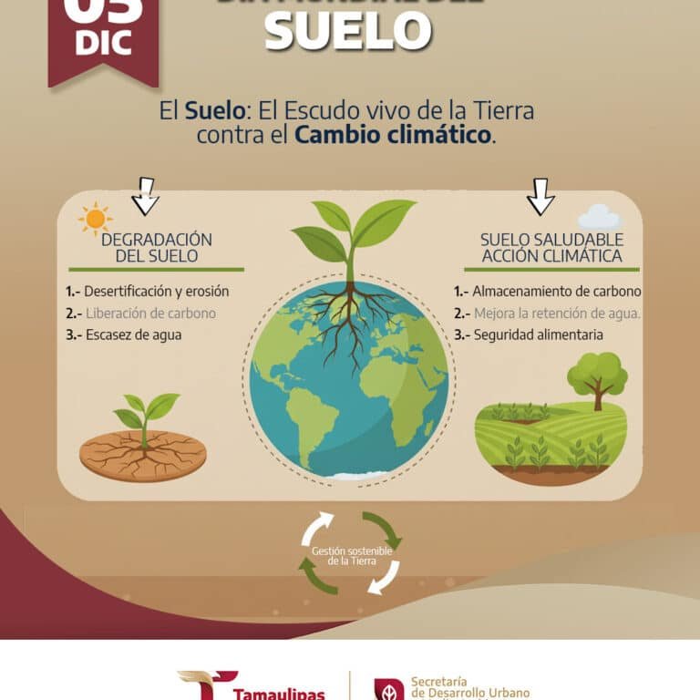 la-importancia-de-los-suelos-sanos-para-capturar-carbono