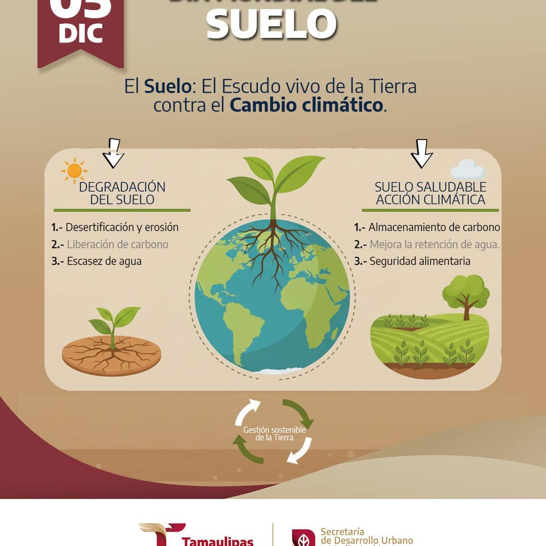 la-importancia-de-los-suelos-sanos-para-capturar-carbono