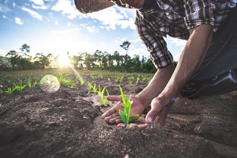 la-importancia-de-preservar-la-diversidad-genetica-de-los-cultivos