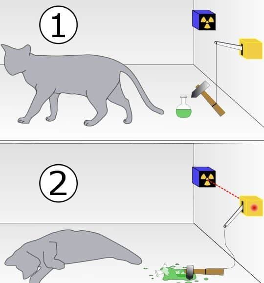 la-paradoja-del-gato-de-schrodinger-se-prueba-en-objetos-macroscopicos