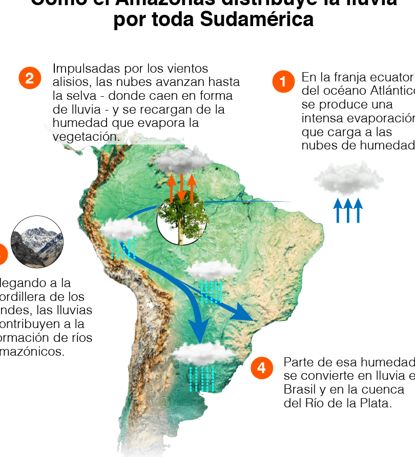 la-relacion-entre-la-deforestacion-del-amazonas-y-el-clima-global