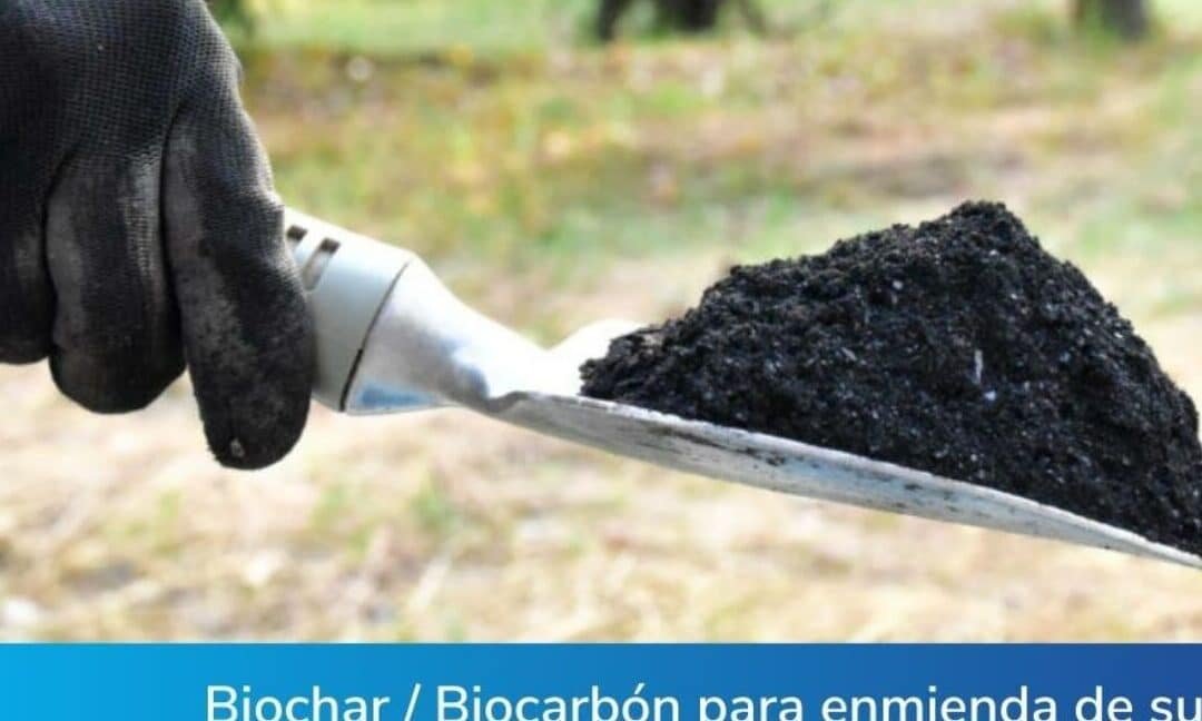 la-tecnologia-de-biochar-para-mejorar-suelos-y-capturar-co2