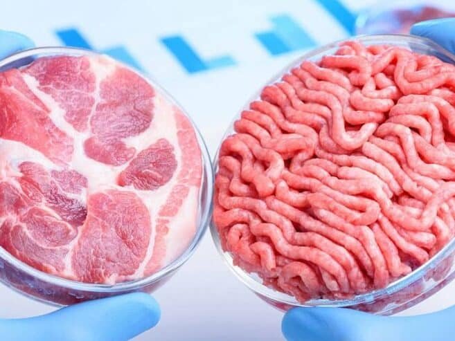 la-tecnologia-de-carne-cultivada-y-su-impacto-ambiental