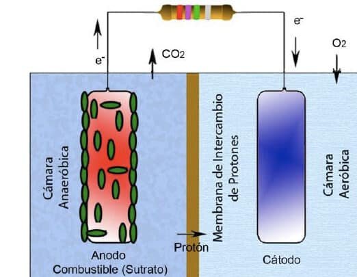 la-tecnologia-de-celdas-de-combustible-microbianas