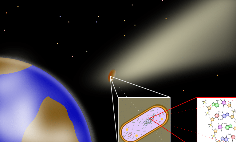 la-teoria-de-que-la-vida-llego-a-la-tierra-en-un-cometa-gana-fuerza