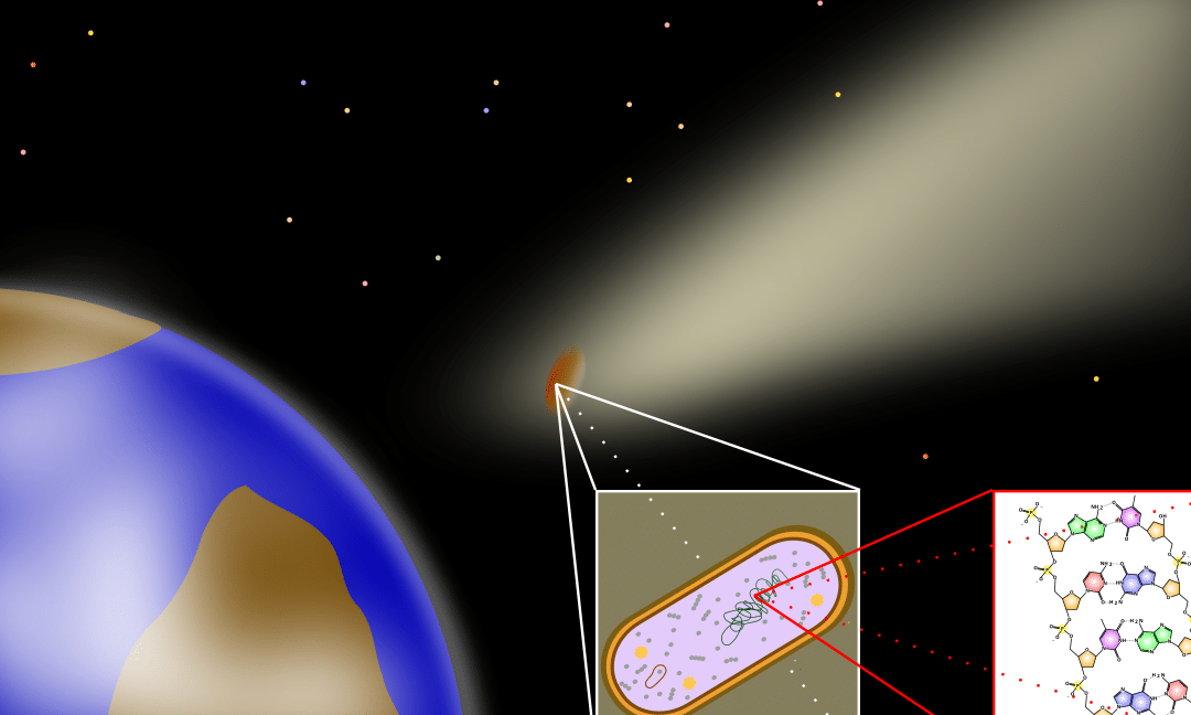 la-teoria-de-que-la-vida-llego-a-la-tierra-en-un-cometa-gana-fuerza