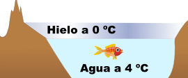por-que-el-agua-tiene-su-maxima-densidad-a-4-grados-celsius