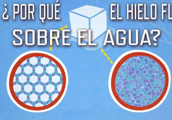 por-que-el-hielo-flota-y-su-importancia-para-la-vida-acuatica