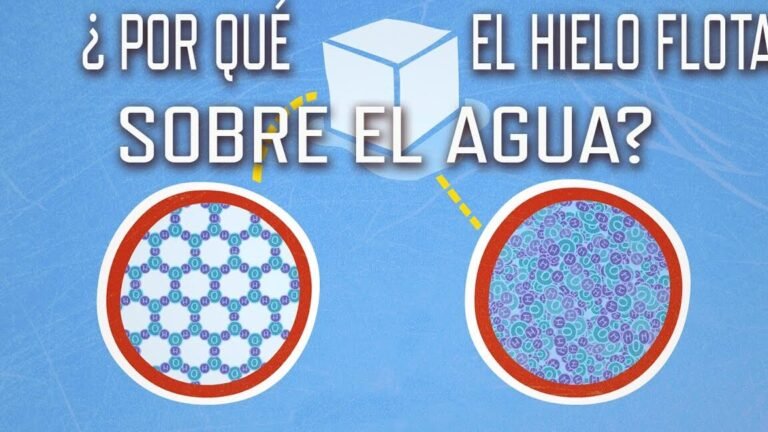 por-que-el-hielo-flota-y-su-importancia-para-la-vida-acuatica