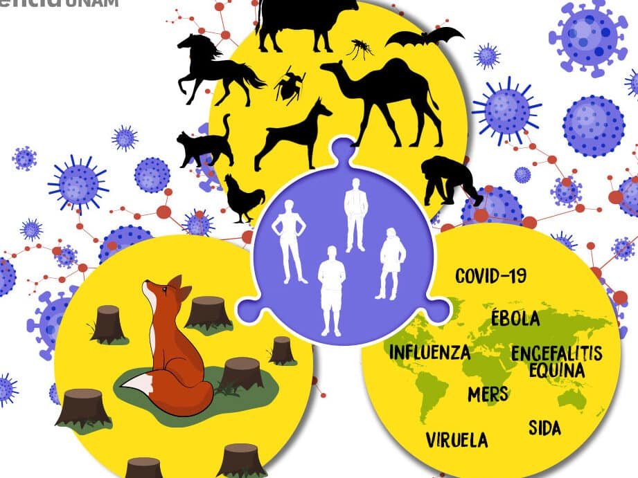 por-que-la-biodiversidad-es-la-mejor-defensa-contra-pandemias