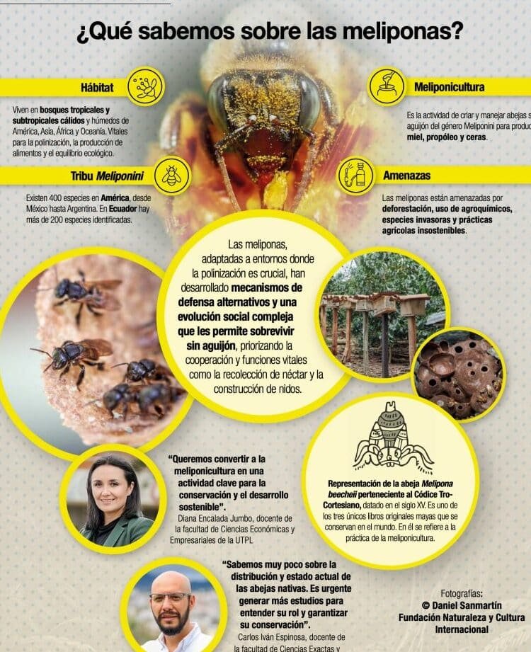 por-que-las-abejas-son-cruciales-para-la-economia-mundial