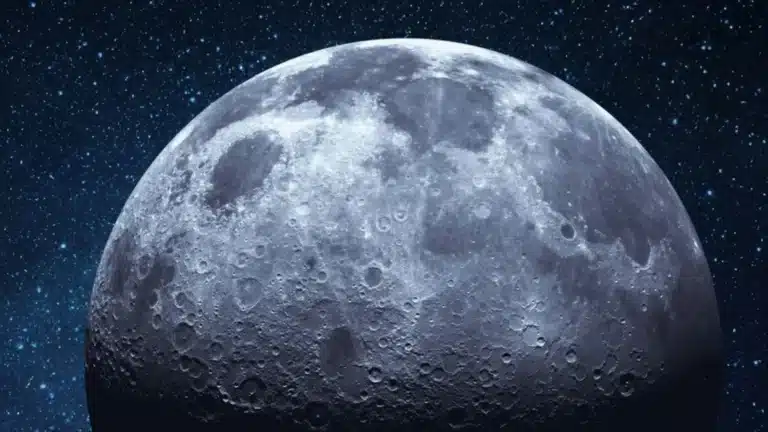 por-que-los-cientificos-estan-creando-un-arca-de-noe-en-la-luna