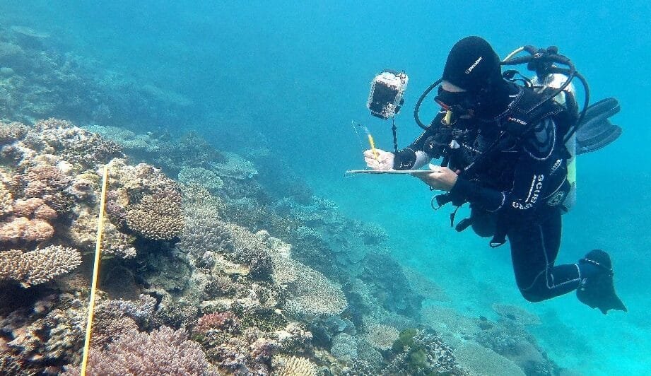 por-que-los-cientificos-estan-preocupados-por-el-carbono-azul