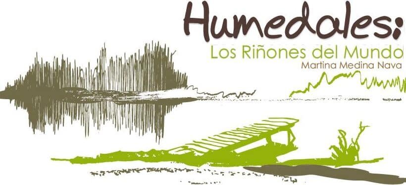 por-que-los-humedales-son-los-rinones-del-planeta