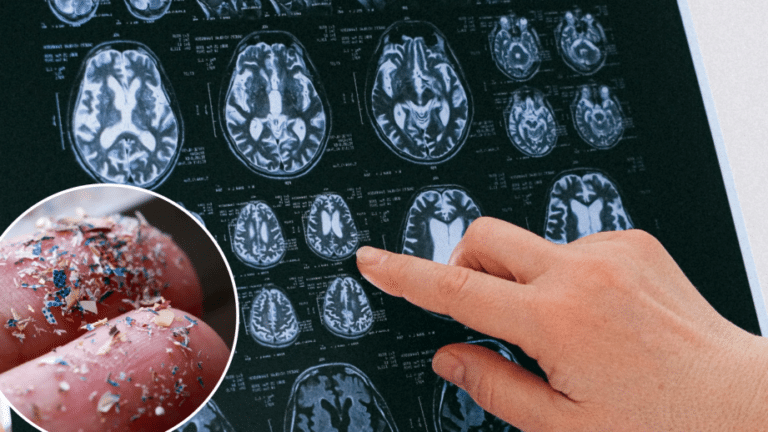 un-estudio-cuantifica-la-cantidad-de-microplasticos-en-el-cuerpo-humano