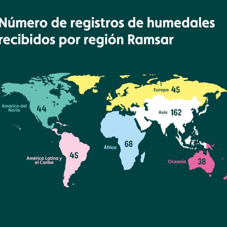 un-nuevo-informe-sobre-el-estado-de-los-humedales-del-mundo