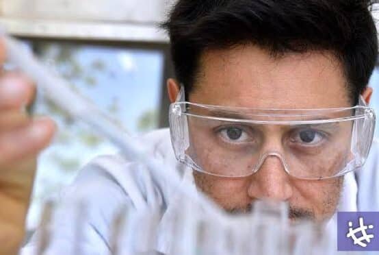 cientificos-desarrollan-un-sensor-de-calidad-de-alimentos-barato