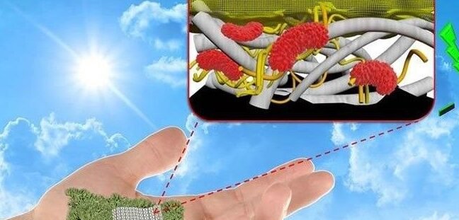 cientificos-desarrollan-una-bateria-de-papel-biodegradable