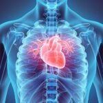 un-nuevo-metodo-para-imprimir-organos-humanos-en-3d