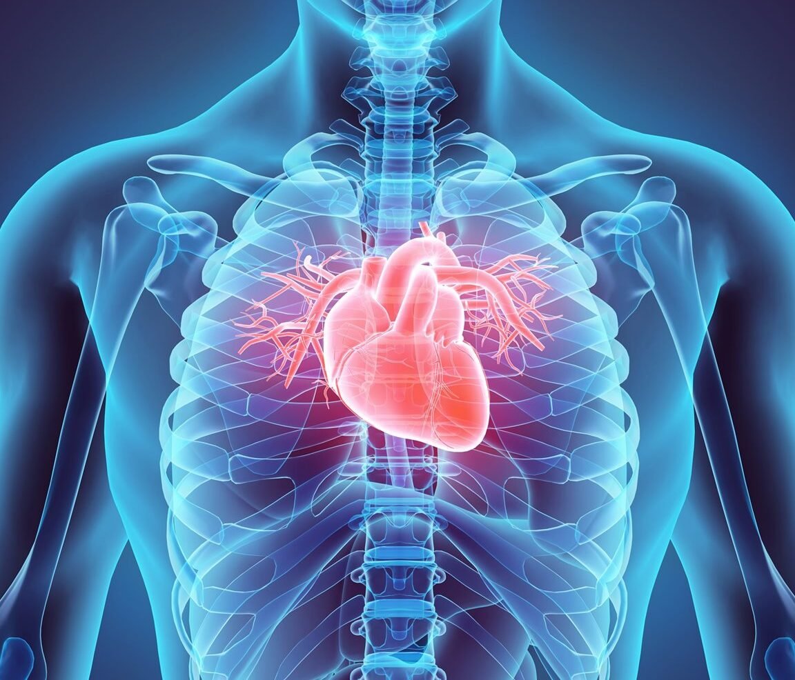 un-nuevo-metodo-para-imprimir-organos-humanos-en-3d